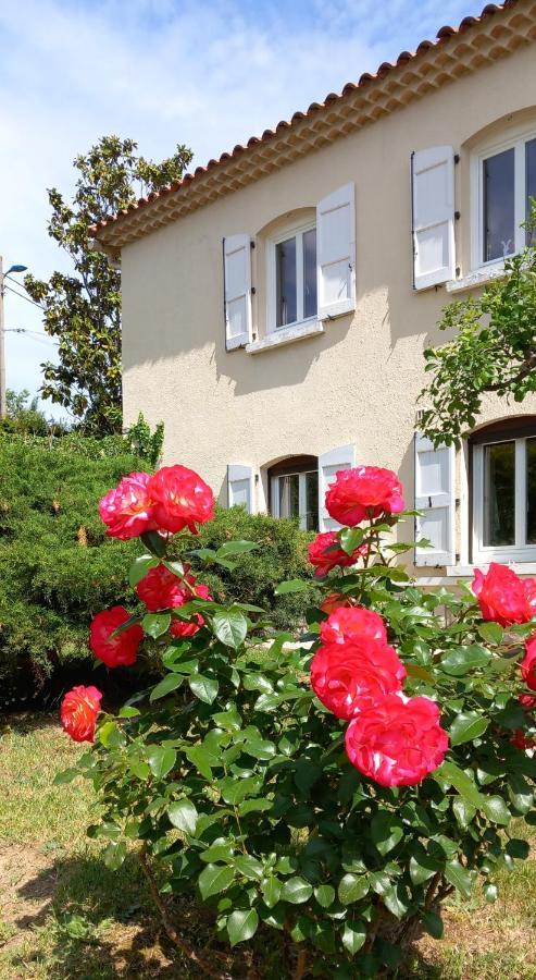 Le Relais Fleuri Hotel Alès Buitenkant foto