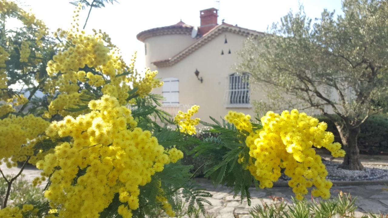 Le Relais Fleuri Hotel Alès Buitenkant foto